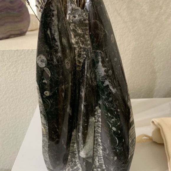 Orthoceras fossil sculpture from Morocco. 5.15lbs - Picture 6 of 6